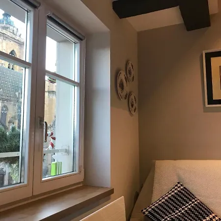 Appartamento -bm Yerri- Typical And Cosy Apt With Cathedral View Colmar